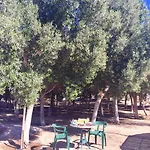 Eco-eden Adults Only Lejlighed *