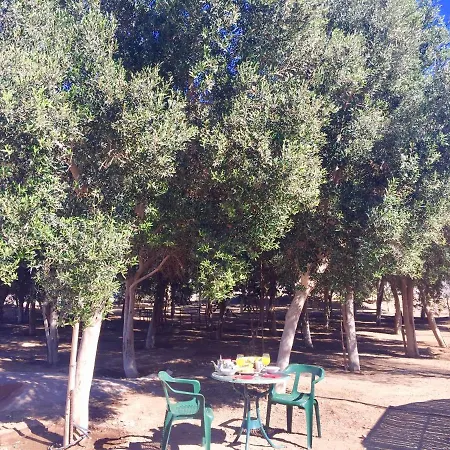 Eco-eden Adults Only Apartament *