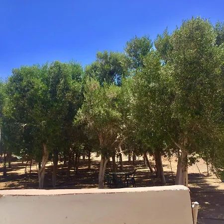 Eco-eden Adults Only Tuineje