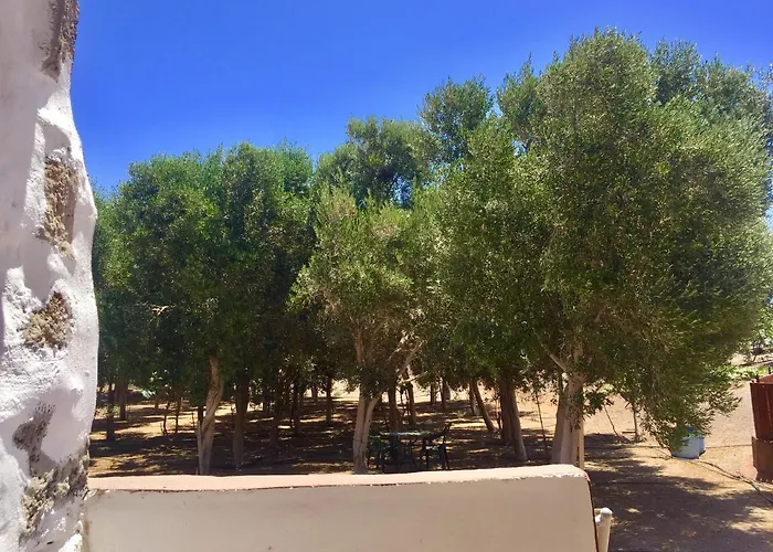 Eco-eden Adults Only Tuineje