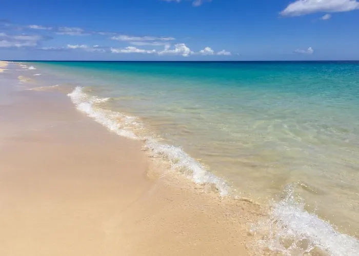 Eco-eden Adults Only Tuineje