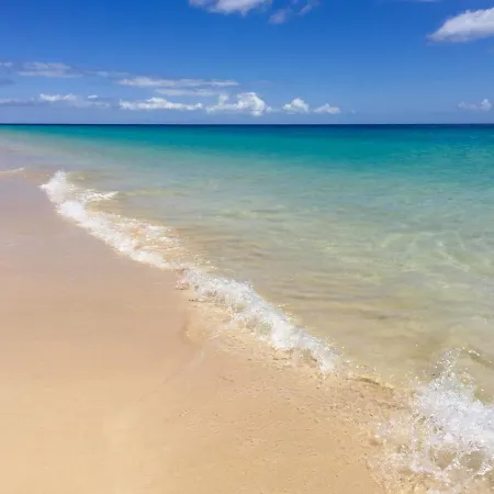 Eco-eden Adults Only Tuineje